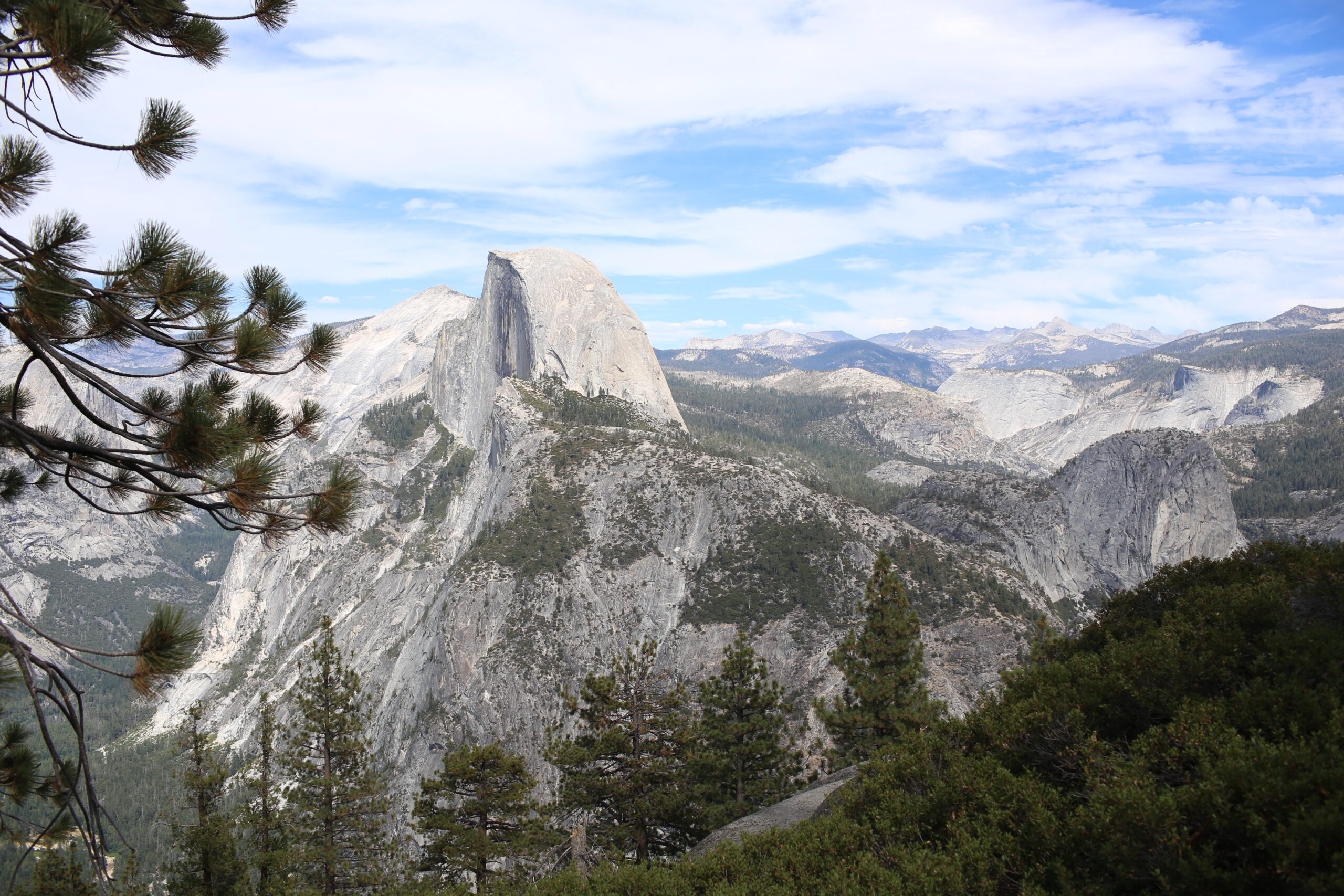 🌳 My Journey of Faith