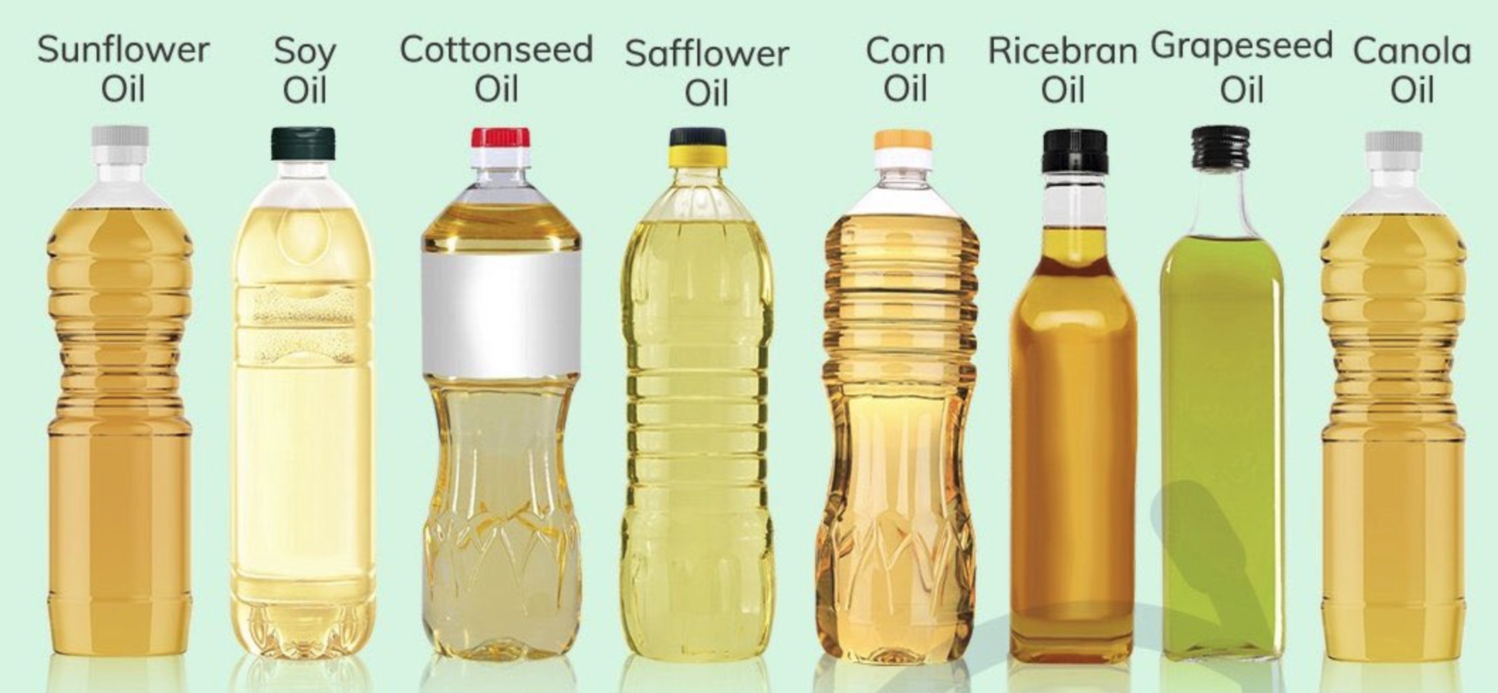 🌻 Vegetable Oils